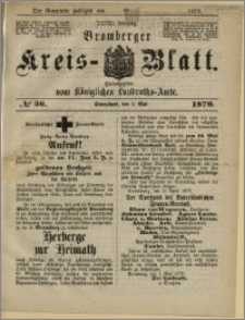 Bromberger Kreis-Blatt, 1879, nr 33