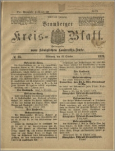 Bromberger Kreis-Blatt, 1879, nr 85