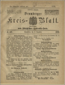 Bromberger Kreis-Blatt, 1879, nr 100
