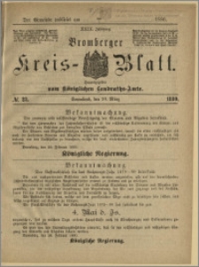 Bromberger Kreis-Blatt, 1880, nr 23