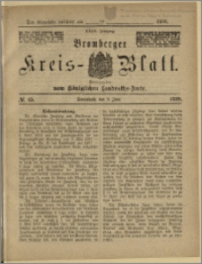 Bromberger Kreis-Blatt, 1880, nr 45