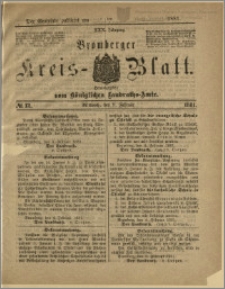 Bromberger Kreis-Blatt, 1881, nr 12