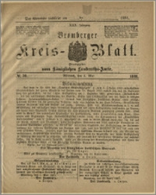Bromberger Kreis-Blatt, 1881, nr 33