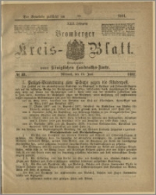 Bromberger Kreis-Blatt, 1881, nr 48