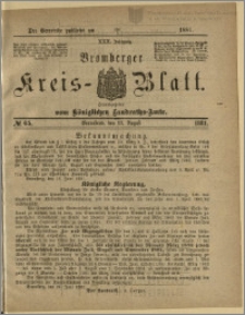 Bromberger Kreis-Blatt, 1881, nr 65