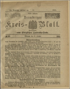 Bromberger Kreis-Blatt, 1881, nr 82