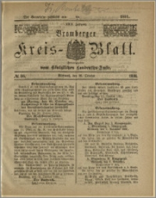 Bromberger Kreis-Blatt, 1881, nr 86