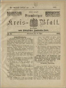 Bromberger Kreis-Blatt, 1882, nr 32