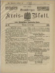 Bromberger Kreis-Blatt, 1882, nr 33