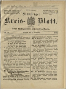 Bromberger Kreis-Blatt, 1882, nr 73