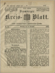 Bromberger Kreis-Blatt, 1882, nr 95