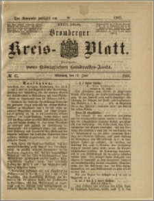 Bromberger Kreis-Blatt, 1883, nr 47