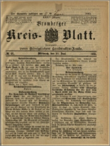 Bromberger Kreis-Blatt, 1885, nr 46