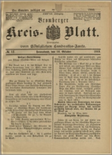 Bromberger Kreis-Blatt, 1889, nr 82