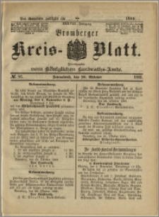 Bromberger Kreis-Blatt, 1889, nr 86