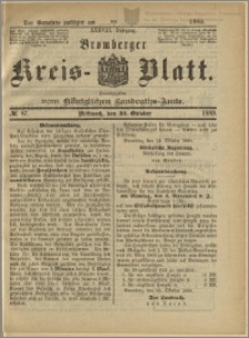 Bromberger Kreis-Blatt, 1889, nr 87
