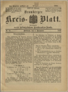 Bromberger Kreis-Blatt, 1889, nr 89