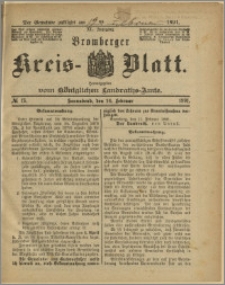 Bromberger Kreis-Blatt, 1891, nr 13