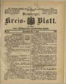 Bromberger Kreis-Blatt, 1891, nr 45