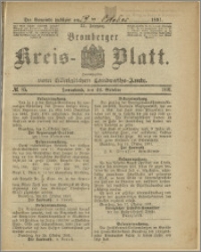 Bromberger Kreis-Blatt, 1891, nr 85