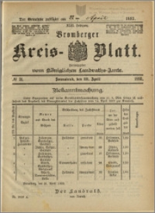 Bromberger Kreis-Blatt, 1893, nr 31
