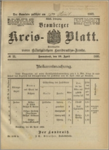 Bromberger Kreis-Blatt, 1893, nr 33