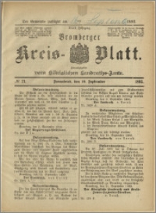 Bromberger Kreis-Blatt, 1893, nr 73