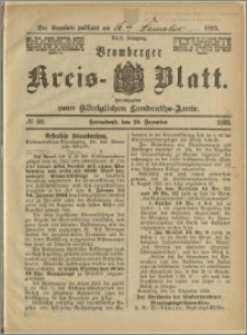 Bromberger Kreis-Blatt, 1893, nr 99
