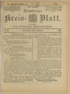 Bromberger Kreis-Blatt, 1895, nr 10