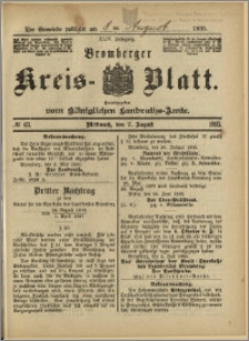 Bromberger Kreis-Blatt, 1895, nr 63
