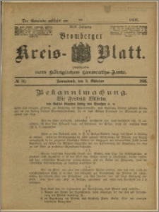 Bromberger Kreis-Blatt, 1896, nr 80