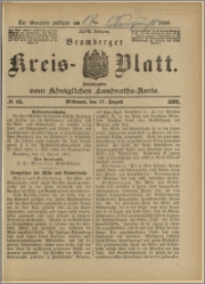Bromberger Kreis-Blatt, 1898, nr 65