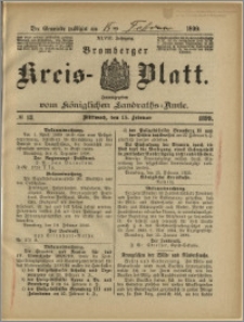 Bromberger Kreis-Blatt, 1899, nr 13