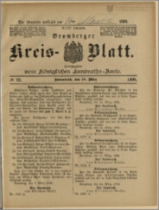 Bromberger Kreis-Blatt, 1899, nr 22