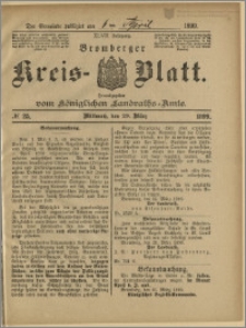 Bromberger Kreis-Blatt, 1899, nr 25