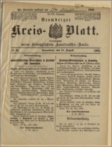 Bromberger Kreis-Blatt, 1899, nr 65