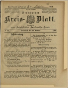 Bromberger Kreis-Blatt, 1899, nr 85