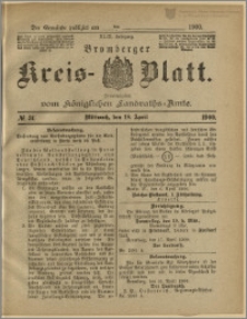 Bromberger Kreis-Blatt, 1900, nr 31