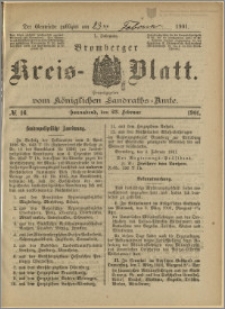 Bromberger Kreis-Blatt, 1901, nr 16