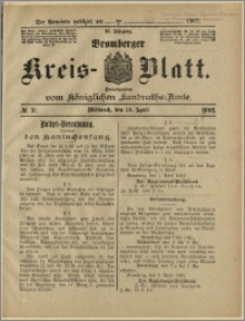 Bromberger Kreis-Blatt, 1902, nr 31