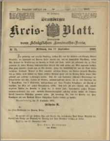 Bromberger Kreis-Blatt, 1902, nr 75