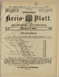Bromberger Kreis-Blatt, 1902, nr 81