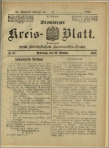 Bromberger Kreis-Blatt, 1902, nr 87