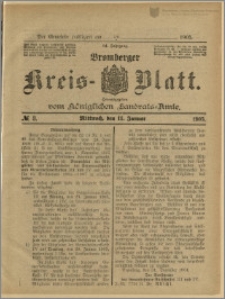 Bromberger Kreis-Blatt, 1905, nr 3
