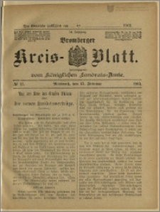 Bromberger Kreis-Blatt, 1905, nr 13