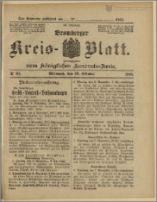 Bromberger Kreis-Blatt, 1905, nr 85