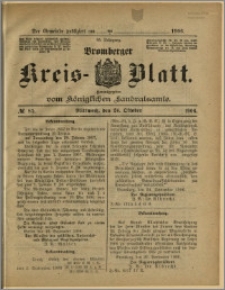 Bromberger Kreis-Blatt, 1906, nr 85