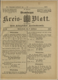Bromberger Kreis-Blatt, 1907, nr 12