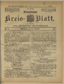 Bromberger Kreis-Blatt, 1907, nr 85