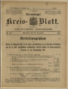 Bromberger Kreis-Blatt, 1910, nr 102